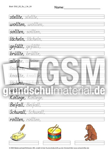 DSS_2S_Bu_l_Nr_08.pdf